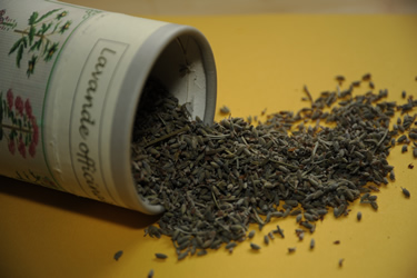 vente plantes médicinales
